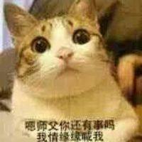 逗比猫师徒搞笑微信表情徒弟和师傅之间的日常下载之家